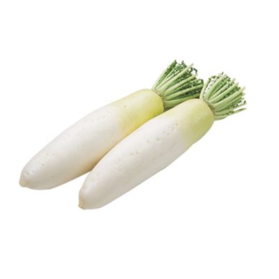 白萝卜